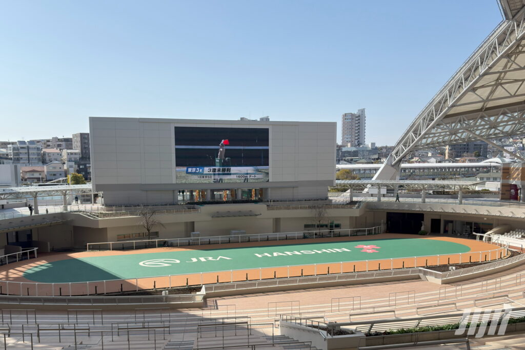 阪神競馬場パドック