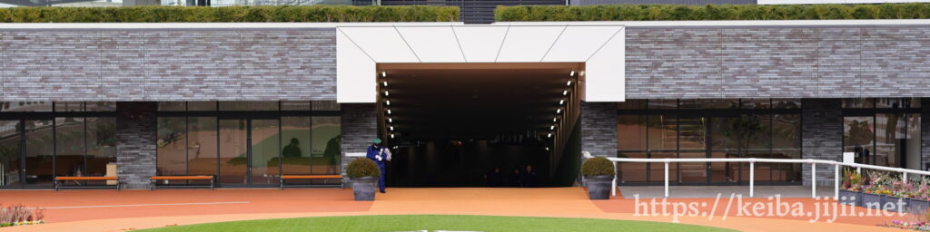 京都競馬場パドック